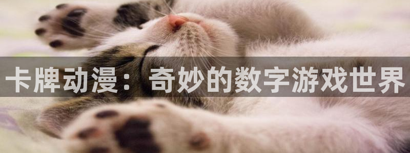 stagenehind韩漫免费观看：卡牌动漫：奇妙的数字游戏世界