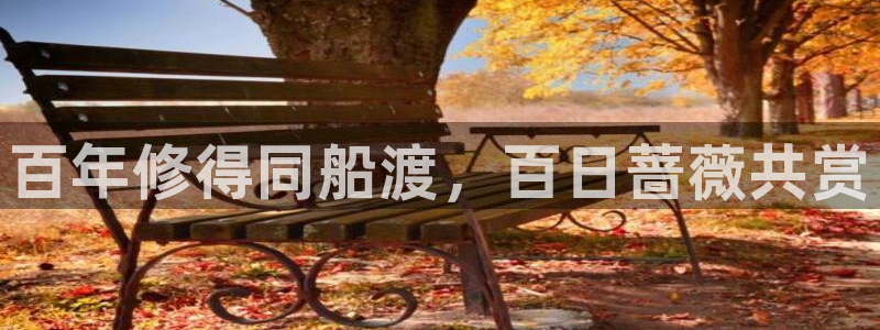 在线动画动漫下载age动漫：百年修得同船渡，百日蔷薇共赏