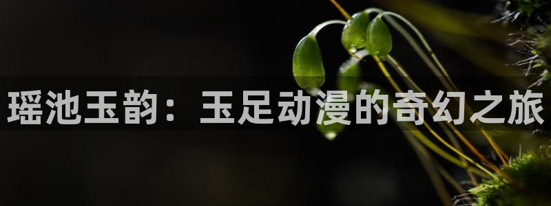 age动漫网官网入口