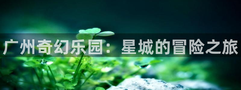 age动漫官网在线入口