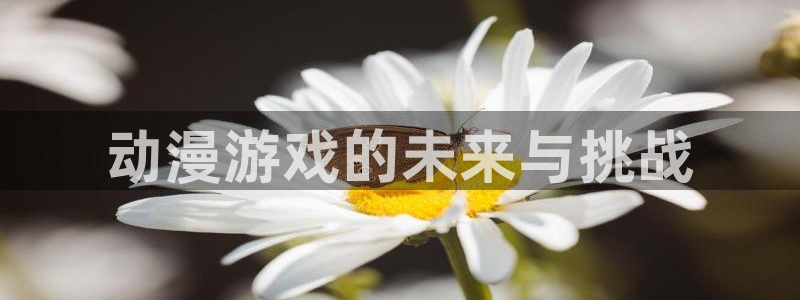 age动漫樱花：动漫游戏的未来与挑战