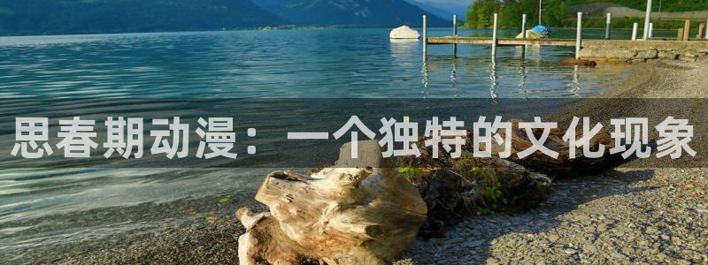 age动漫官网版入口