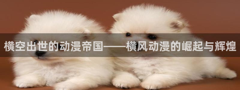 age动漫下载网：横空出世的动漫帝国——横风动漫的崛起与辉煌