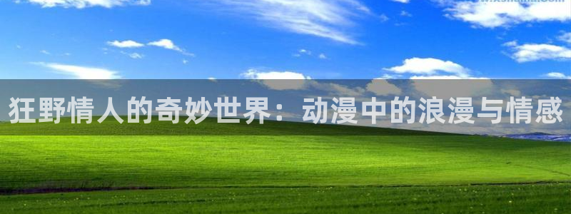 age动漫网下载：狂野情人的奇妙世界：动漫中的浪漫与情感