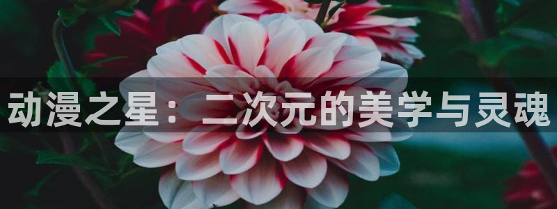 lovestage漫画免费阅读：动漫之星：二次元的美学与灵魂