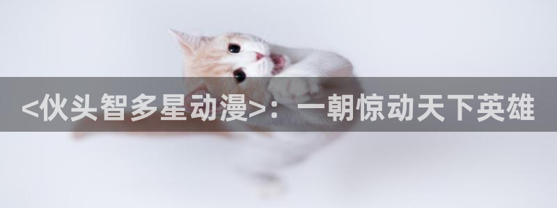 age动漫官网在线入口：<伙头智多星动漫>：一朝惊动天下英雄