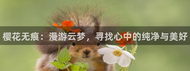 韩国漫画平台kakaopage：樱花无痕：漫游云梦，寻找心中的纯净与美好