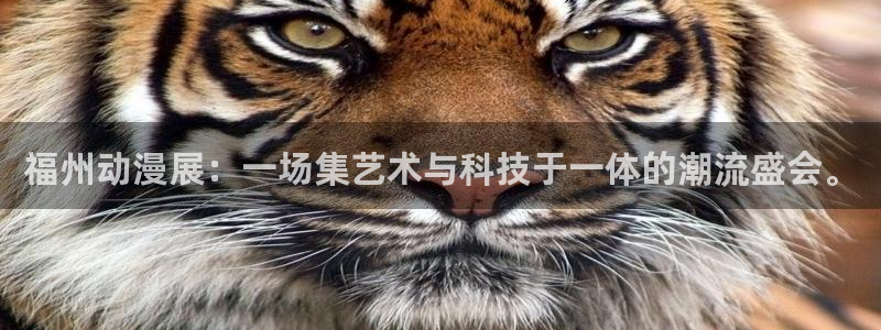 managereader漫画官网入口