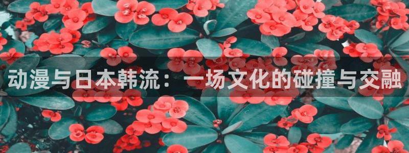 拷贝漫画 copymanager.ory网站