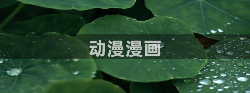 age漫画网：动漫漫画
