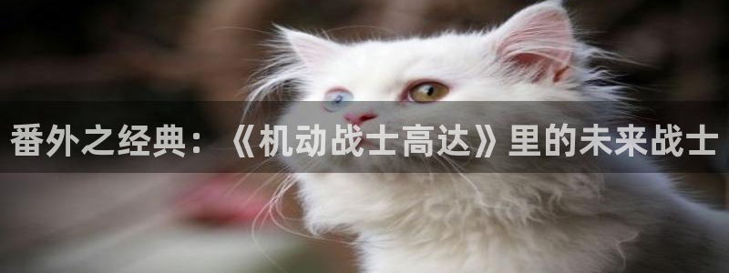age漫画网：番外之经典：《机动战士高达》里的未来战士