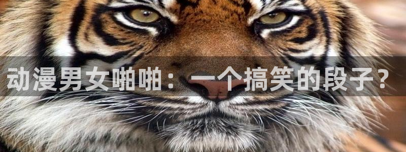age动漫网：动漫男女啪啪：一个搞笑的段子？
