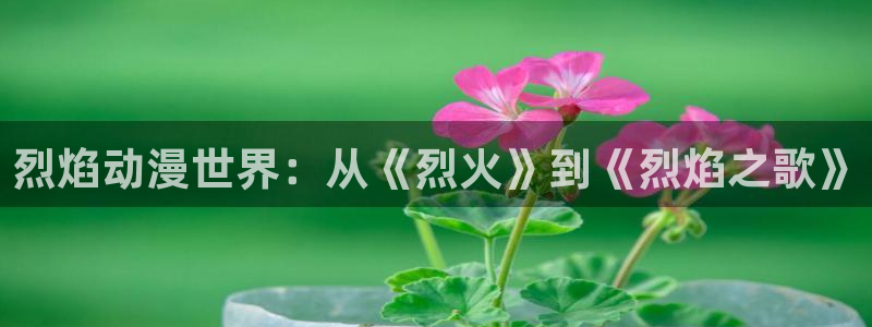 colamanage漫画：烈焰动漫世界：从《烈火》到《烈焰之歌》