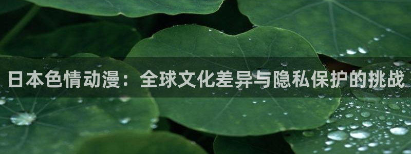 managereader漫画官网入口：日本色情动漫：全球文化差异与隐私保护的挑战