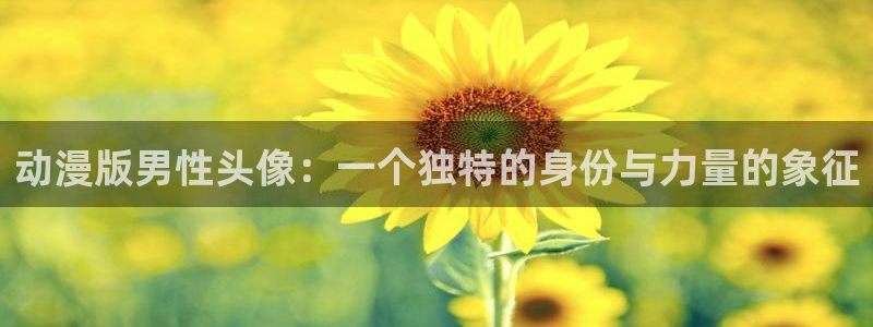 age动漫官网在线入口：动漫版男性头像：一个独特的身份与力量的象征