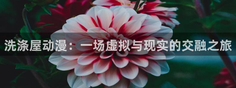 age动漫正版网：洗涤屋动漫：一场虚拟与现实的交融之旅