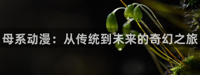colomanage漫画官网：母系动漫：从传统到未来的奇幻之旅