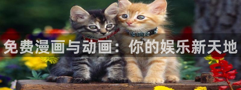 在线动画动漫下载age动漫：免费漫画与动画：你的娱乐新天地