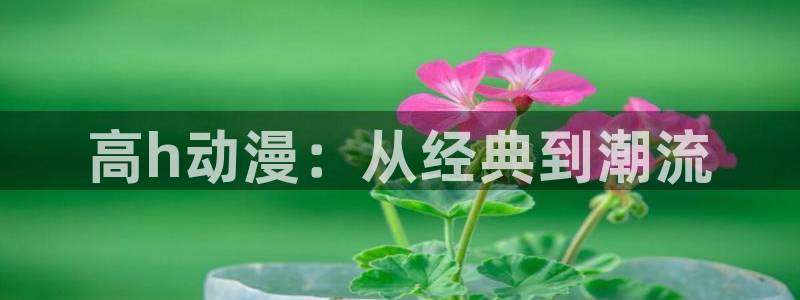 age漫画网：高h动漫：从经典到潮流