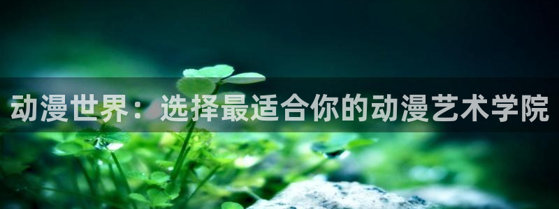 age动漫樱花：动漫世界：选择最适合你的动漫艺术学院