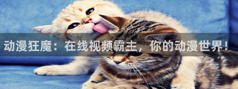 age动漫官网入口老版本：动漫狂魔：在线视频霸主，你的动漫世界！