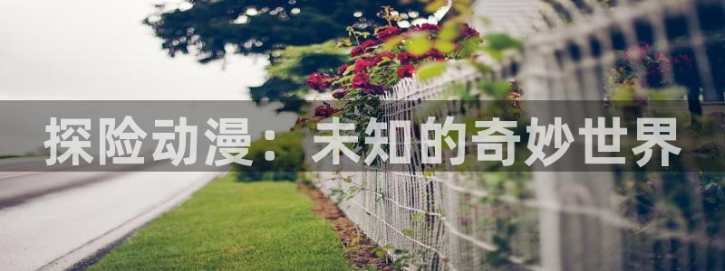 age动漫下载网