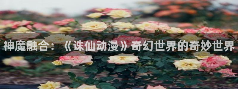 age专注动漫的门户网站：神魔融合：《诛仙动漫》奇幻世界的奇妙世界
