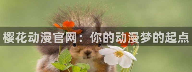age动漫下载：樱花动漫官网：你的动漫梦的起点